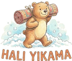 Halı Yıkama Logo